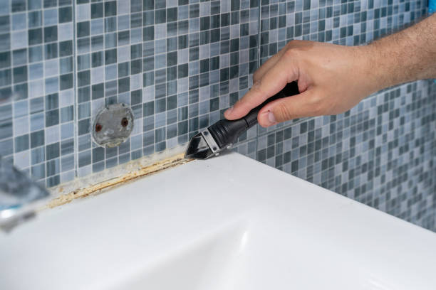 Best Mold Removal Process  in Boonton, NJ