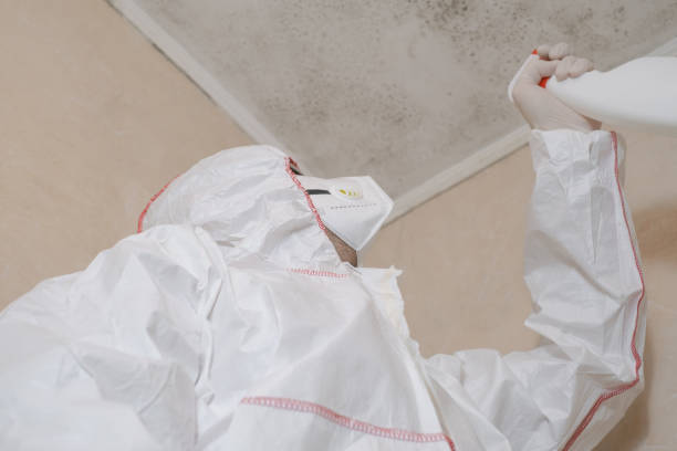 Crawl Space Mold Removal in Boonton, NJ